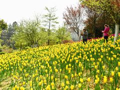 -龙架山森林公园
