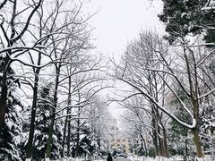 -南京林业大学-图书馆