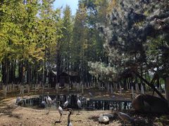 -艾溪湖湿地公园