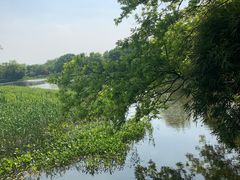 -西溪国家湿地公园