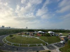 -春花秋色城市公园