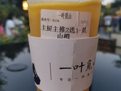 -一叶觅山(半边街店)
