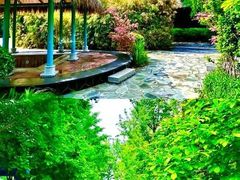 -南宫温泉水世界