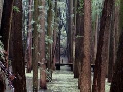 -青山湖景区