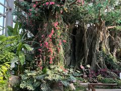 -祥源·阜阳生态乐园