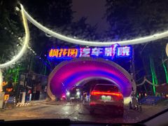 -枫花园汽车电影院(朝阳公园店)