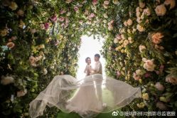 点击看大图 花房-维纳斯婚纱摄影(鞍山店)