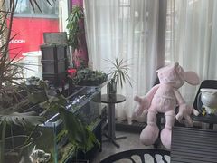 -MONANA蛋糕研究所