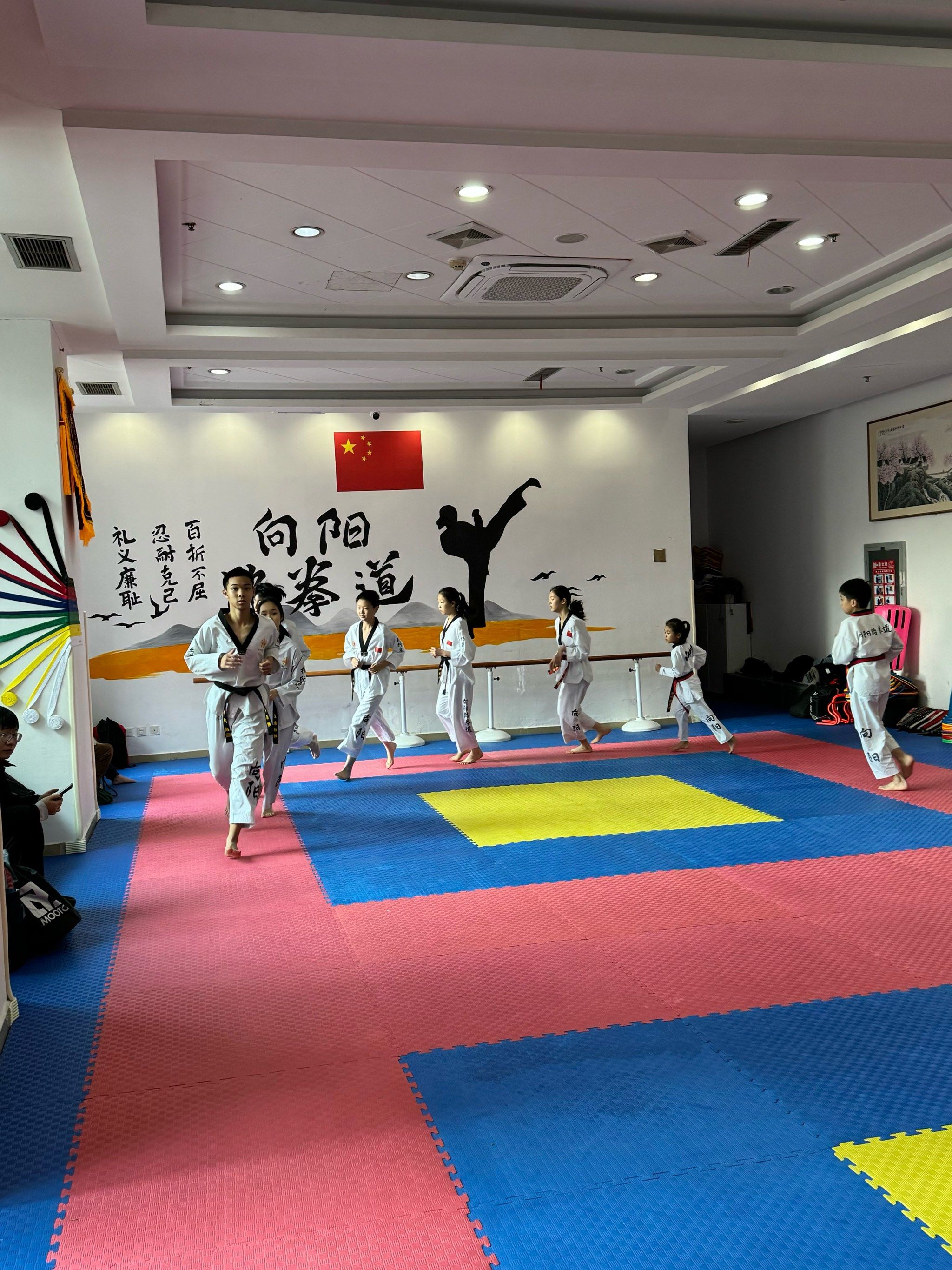 拼搏在跆拳道的每一刻