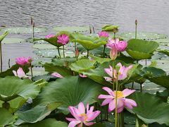 -澹台湖公园