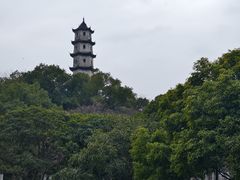 -江心屿景区
