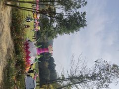-黄陂区野村谷景区
