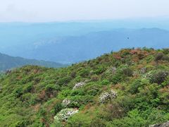 -大围山国家森林公园