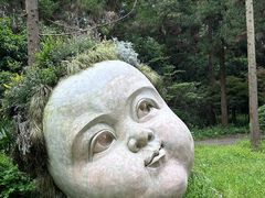 -东平国家森林公园