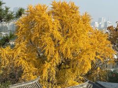 -天朝元辅-徐州民俗博物馆