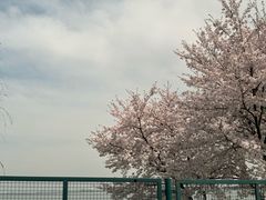 -阳澄湖半岛旅游度假区