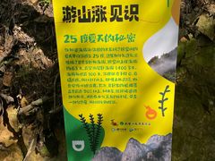 -明堂山风景区