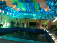 景点-北戴河圣蓝海洋公园