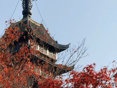-常熟方塔园