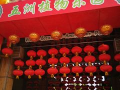 -南宫五洲植物乐园