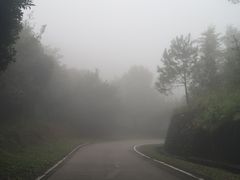 -广州市石门国家森林公园