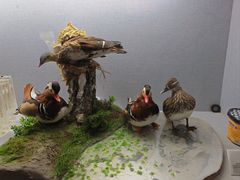 -武汉园博园(武汉自然博物馆)