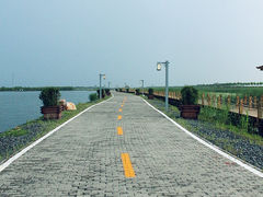 -呼兰河口湿地公园