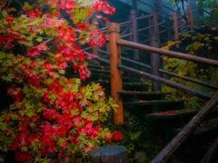 -九如山休闲旅游度假区