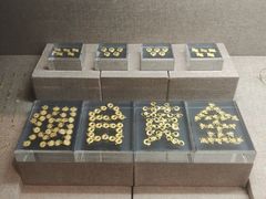 -烟台自然博物馆