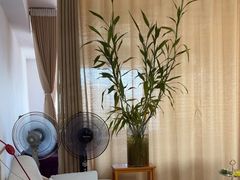 -佰推·肩颈腰·推拿理疗(湾悦城店)