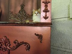 -逃脱反斗城沉浸剧情密室(北京路店)