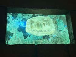 -翱翔飞越地平线