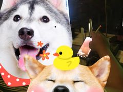 -万达文华酒店·美食汇自助餐厅