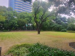 -上海瑞金洲际酒店