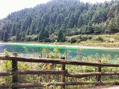 -武陵山森林公园