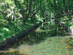 -上海滨江森林公园