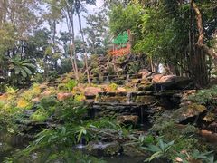 -绿光森林餐厅