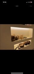 -乐室LE SPACE·美学疗愈空间