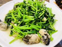 茼蒿海蛎子-林之六八·6886大连老菜馆