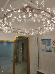 -潘多拉Hairsalon