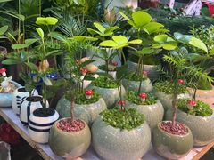 -三旗百汇商品城