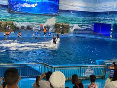 -多彩贵州城极地海洋世界