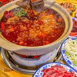 合肥人是真的，真的只知道吃……