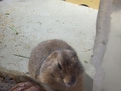-正佳雨林生态植物园