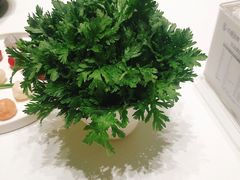 -红鼎豆捞·非遗鲍皇汤火锅(宝丰路店)