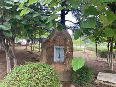 -白塘生态植物园