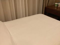 -格林豪泰商务酒店(上海大宁国际延长路地铁站店)