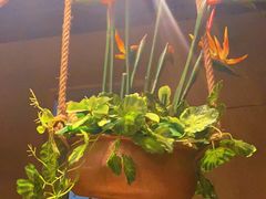 -云海肴汽锅鸡·云南小炒(天津国金汇店)