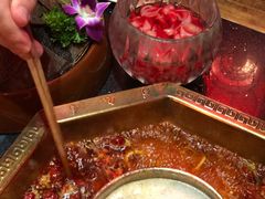 -蜀九香火锅(彩虹店)