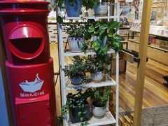 -猫的天空之城概念书店(丽江古城饮玉巷店)
